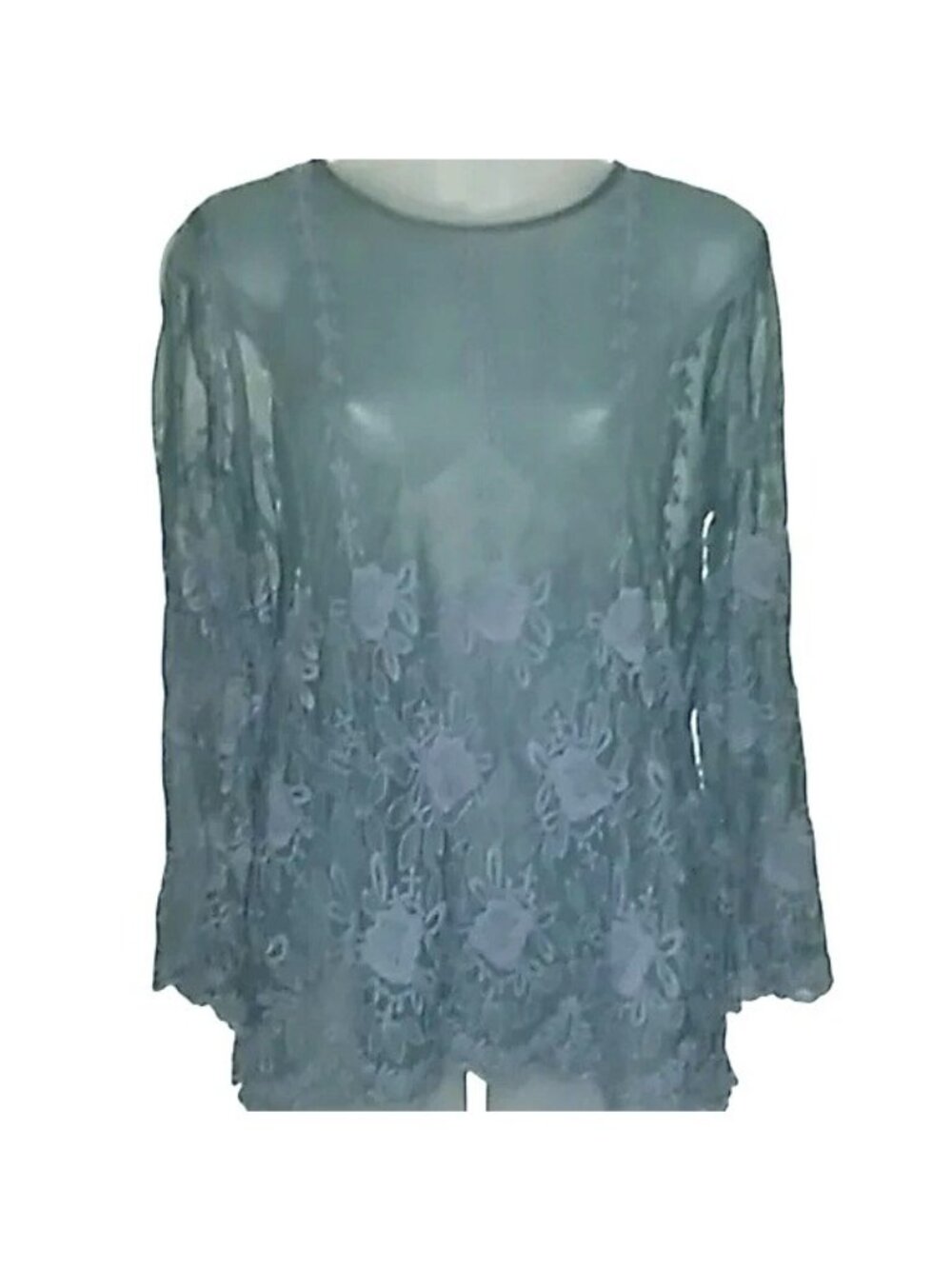 Flying Tomato Green Embroidered Sheer y2k Vintage Long Sleeve Top